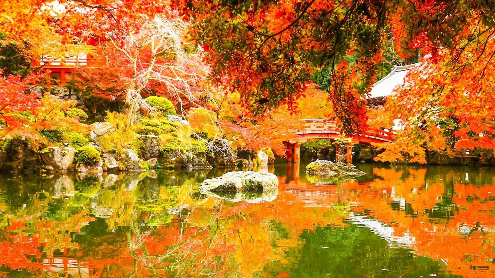 Hotel Eph Kioto 4*,  Japón